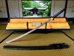 Seinei Katana mit 12-mal gefalteter Damast Stahl Klinge Handgeschmiedetes Samurai Schwert der Serie FENG LIN